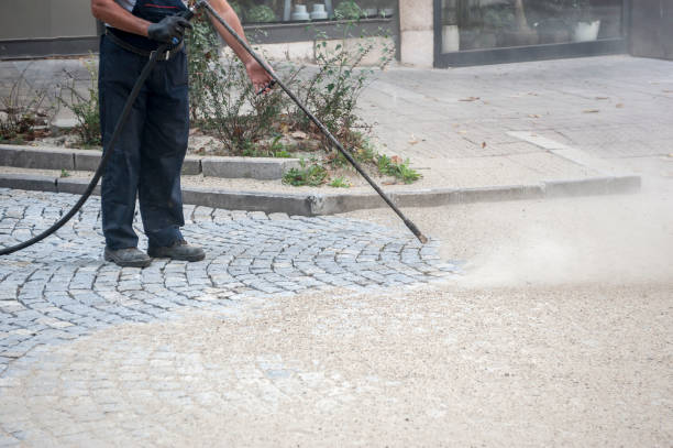 Best Pre-Holiday Cleaning  in Orcutt, CA